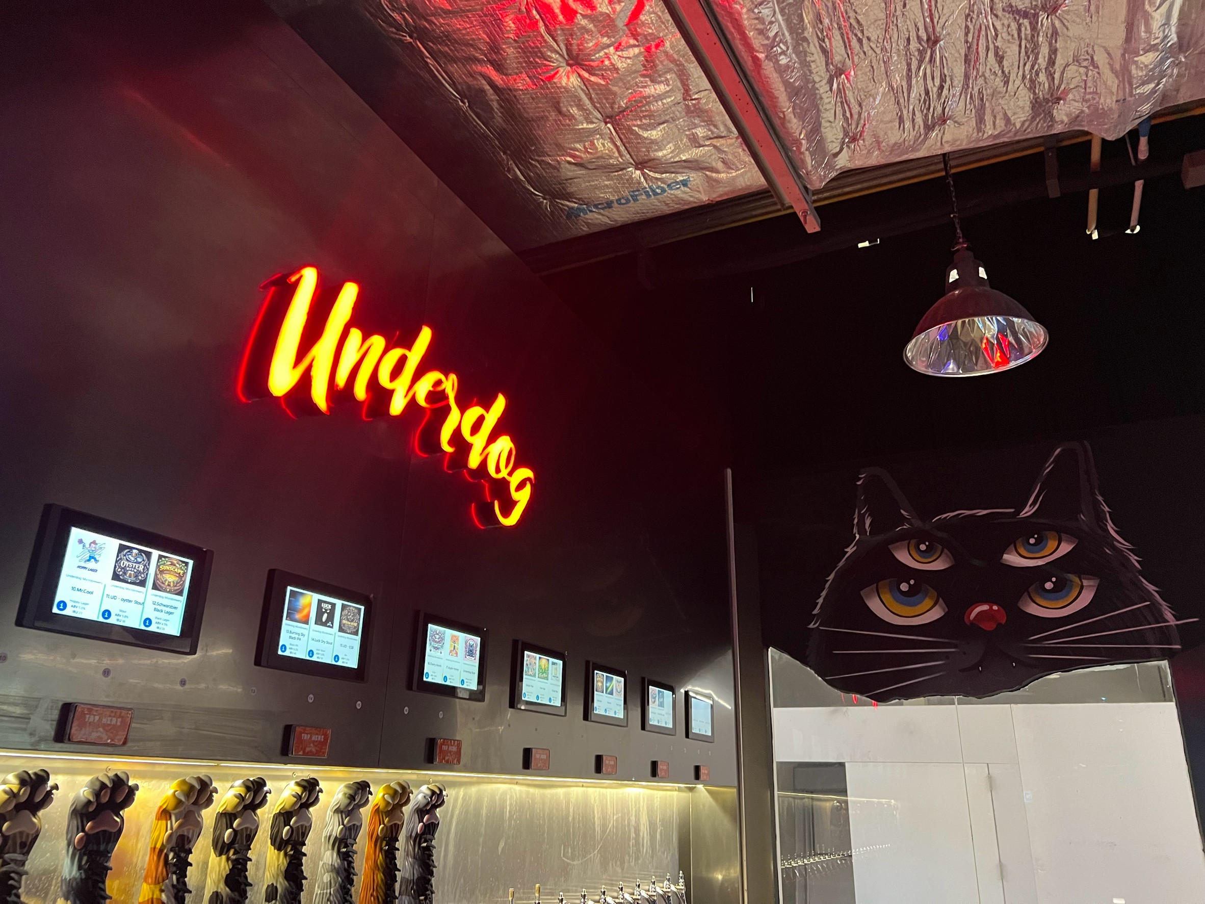 บรรยากาศ Underdog พัฒนาการ